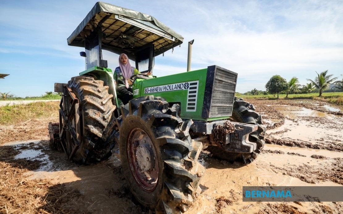 20230627 gadis pesawah